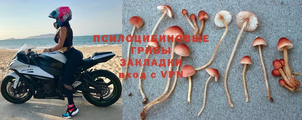 мескалин Осинники